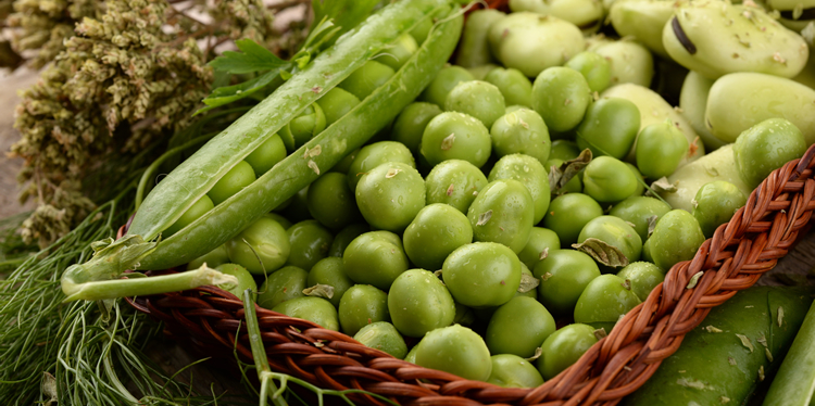 Registro_de_Cultivares_Sao_Paulo_Marcas_Patentes